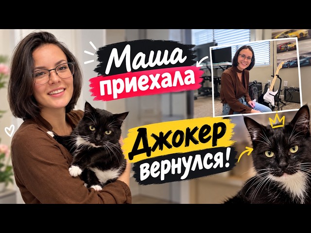 США Влог Рассказала про Джерри Маша приехала Джокер вернулся Обустраиваем ему место USA VLOG