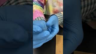 1406 Lab Video: How to Prepare an Onion Slide