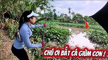 Cũng may có chú trong nhà ra bắt cá giùm không thoy thì xong luôn rồi Oanh vlog