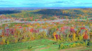 Fall foliage in Ct. 10/22/23