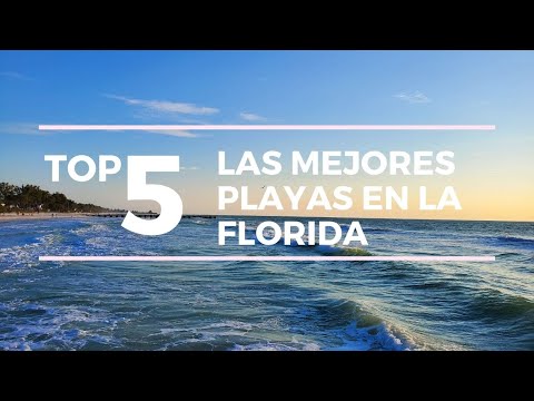 Video: Las 10 mejores playas del área de la bahía de Tampa