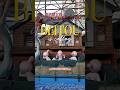 Things to do in beitou #traveltaiwan #beitou #hotspring #taiwantourism #taiwanscharm #travel