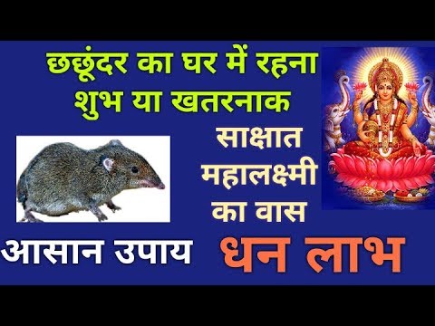 वीडियो: धन के संकेतक के रूप में बचत