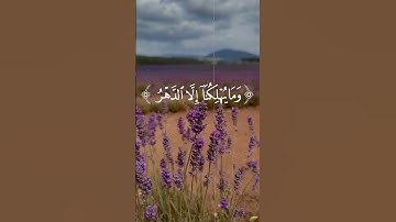 سورة الجاثية الآية 24 - القارئ محمد أيوب
