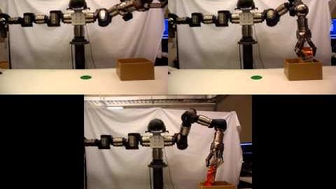 Grasping for a Purpose