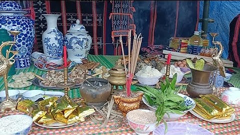 #3 Phần Nghi Lễ Cúng Con Trâu Sống | Đám Cưới Truyền Thống Người Cơ Tu [ Đám Cưới Có Đâm Trâu]