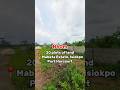 #affordablelands #mixeduse #landforsale #investmentland #landbankinginvestment