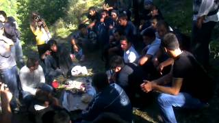 Bulia Svanebi Bunebashi Sharafoben