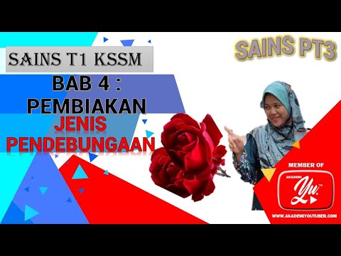 Video: Bagaimanakah pendebungaan silang berfungsi?