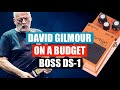 David Gilmour on a Budget - BOSS DS-1