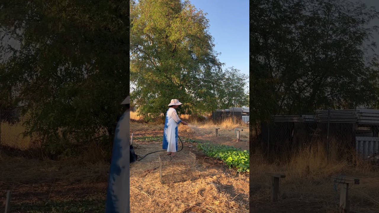 Hand watering my garden