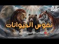 نفوس الحيوانات عالم غريب تفاصيل تسمعها لأول مره الدكتور مصطفي محمود 