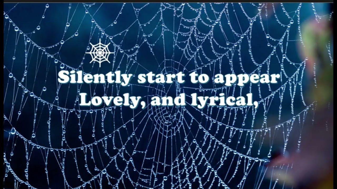 Charlotte's web, deep in the dark lyric video