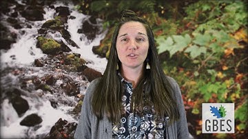 Measurable Webinar Promo