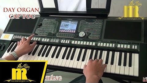 Học Đàn Organ Cấp Tốc TPHCM - NHẬT KÝ ĐỜI TÔI - Trung Tâm Nhạc Rừng