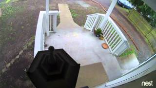 Garage Break In Part 1 - 3.11.16 @ 4:28pm