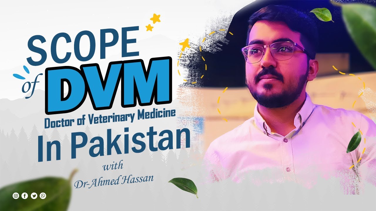 What Is DVM Scope Of DVM In Pakistan Urdu Hindi POP YouTube what-is-dvm-scope-of-dvm-in-pakistan-urdu-hindi-pop-youtube