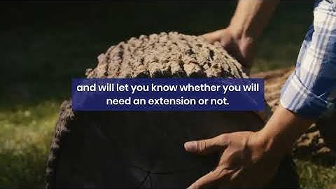 WEN 3421 Review - Budget Wood Lathe