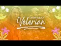 Learn about Valerian | Pukka Herbs