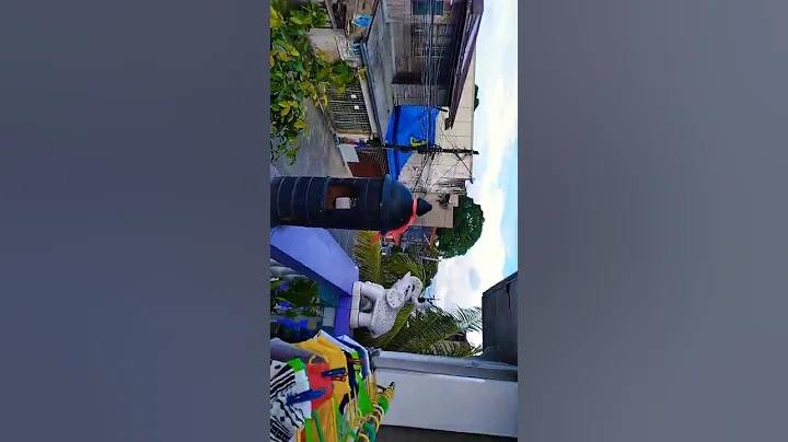 Our Neighbor And Revealing my face if this video c...