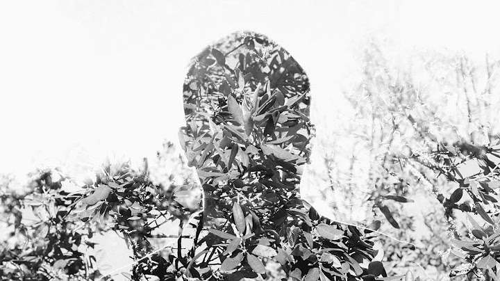 Convert Download Matt Goodman And Mathew Bento To Mp3 Mp4 Savefromnets Com download matt goodman and mathew bento