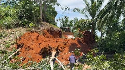 Amazing Skills Bulldozer Operator Cutting a Hill for Forest Road Construction