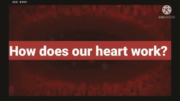 How does our heart work?(organ story) /[connect plus 3/unit 2: lesson 1/ part 1)🌷🌷🌷