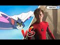 Spider Man vs Tom Cat Who Will Win? | Tom and Jerry - PJ Explained