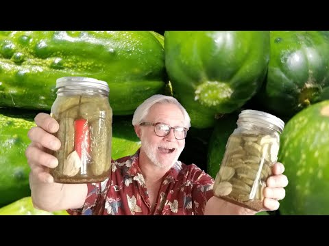 KOSHER DILL PICKLES: CLASSIC DELI SIDE HOMEMADE:  KETO &  LOW CARB