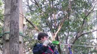 Green Challenge - a ropes course at Currumbin Wildlife Sanctuary