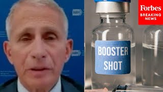 Fauci Explains Immunological Basis For mRNA COVID-19 Vaccine Booster Shots