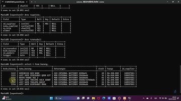 Demo Database Mysql dengan menggunakan CMD | Database TokoVape