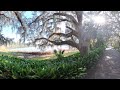 8K VR 360 | Garden Tour | Alfred B  Maclay Gardens State Park [1]