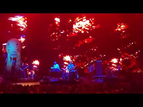 MGMT New Song - In the Afternoon Live in Las Vegas 11-21-19