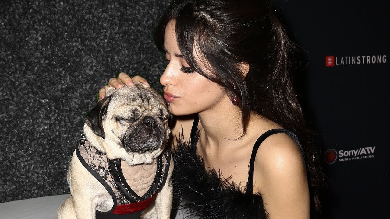 Camila Cabello | With Dogs