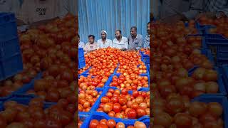 ltc Mandi gurramkonda top rate samll  box.🍅