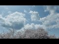 1年間通院をした感想
