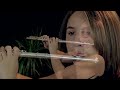 Lord of the Rings - In Dreams - Flute Mp3 Song