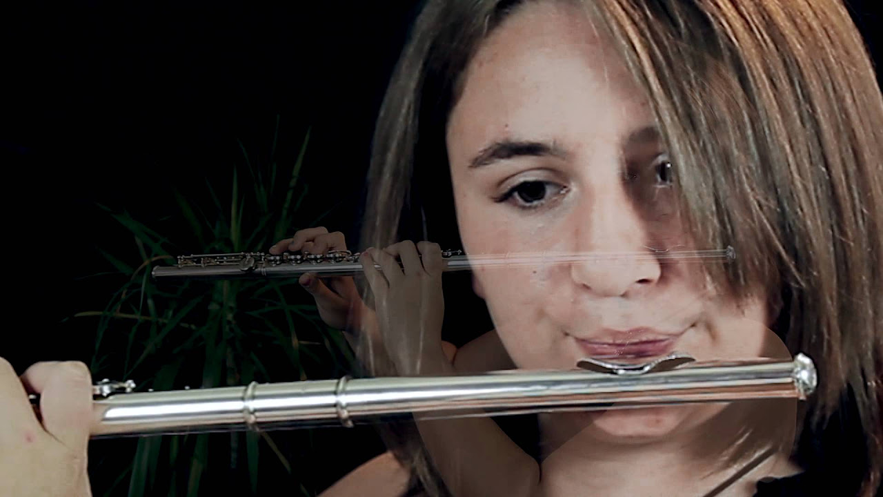 Lord of the Rings   In Dreams   Flute