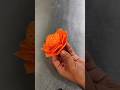 Beautiful Flower Shape Carving From CarrotCarrot Flower Art Cutting SkillsVegetable Carving |