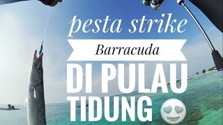 #MV002 - Penasaran! Casting Ternyata banyak strike Barracuda//Solo fishing on tidung island JAKARTA screenshot 5