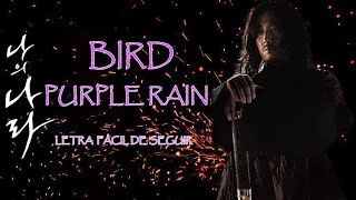 Purple Rain - Bird {나의 나라: My Country The New Age  OST} (Letra fácil de seguir)