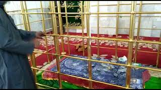 Hazrat Imam Gazali Ki Bargah Me Asif Raza Saifi Haziri Pesh Karty Hue