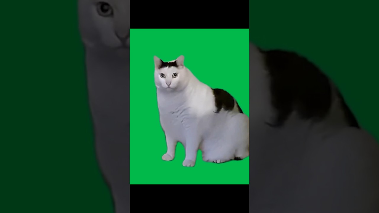 How to remove GREENSCREEN in CapCut for desktop