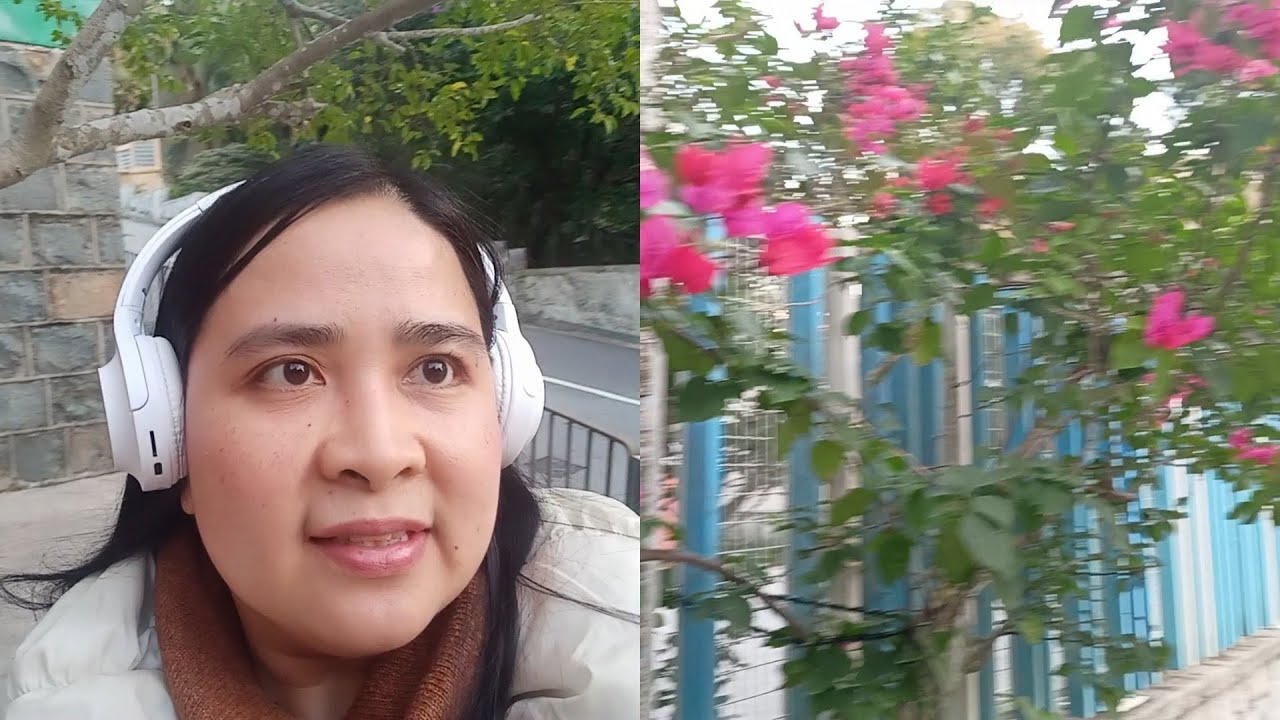 Walking time from.56plantation road to 65mountkellett roa | Amy Damirud