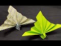 Comment faire un paon facile en origami la pause dtente