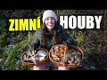 MOJE ZIMNÍ HOUBAŘENÍ (HLÍVA ÚSTŘIČNÁ, PENÍZOVKA SAMETONOHÁ)