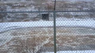 Trip to the Anchorage Landfill