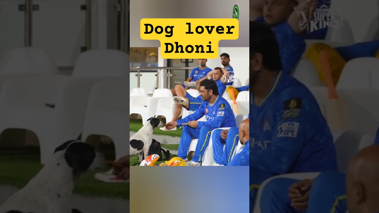 Dhoni Loves Dogs. wholesome moment  CSK practice session 