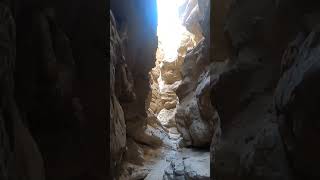 Anza Borrego #sunday #viralshorts #desierto #aventura #emociones #memories